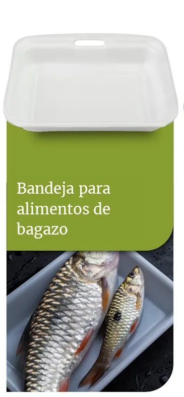Bandeja de alimentos compostable